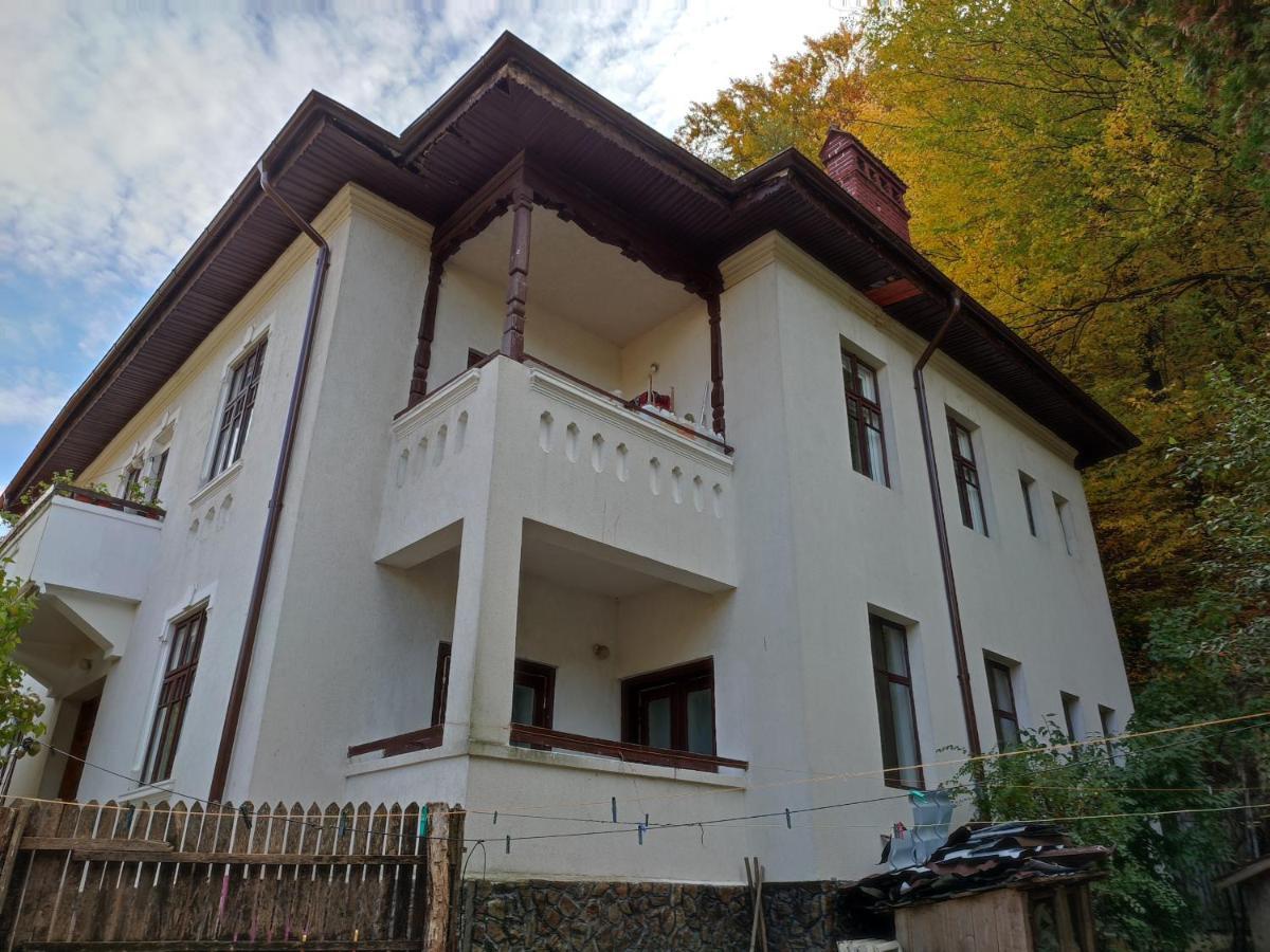 Vila Brazilor Caciulata Exteriör bild